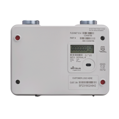 Ultrasonic Smart Gas Meter